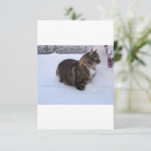 雪の中のノルウェーの林猫 セーブザデート (スタンド正面)