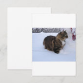 雪の中のノルウェーの林猫 セーブザデート (正面/裏面)