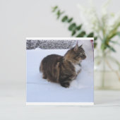 雪の中のノルウェーの林猫 プログラム (スタンド正面)