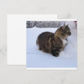 雪の中のノルウェーの林猫 プログラム (正面/裏面)