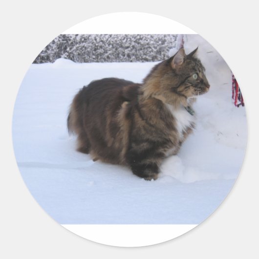 雪の中のノルウェーの林猫 ラウンドシール (正面)
