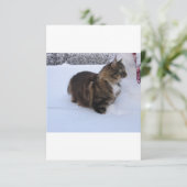 雪の中のノルウェージャンフォレストキャット カード (スタンド正面)