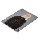 雪の中のハクトウワシの肖像, Haliaeetus ノートブック (左側)