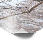 雪の中のハゲのワシ フォトプリント            (角)