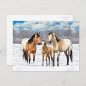 雪の中のバックスキンアパロオサホースファミリー ポストカード (正面/裏面)