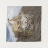 雪の中のパラス猫 タペストリー (正面(横))