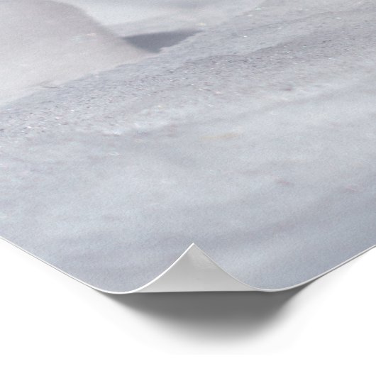 雪の中のパラス猫 ポスター (角)