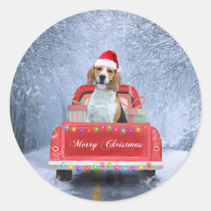雪の中のビーグル犬のクリスマストラックに座って ラウンドシール