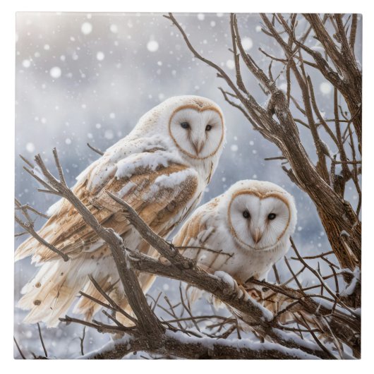 雪の中のフクロウかわいらしズ2 タイル (正面)