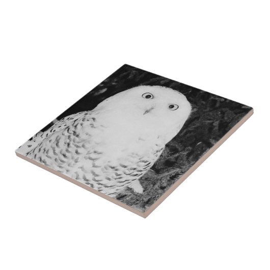 雪の中のフクロウ タイル (側面)