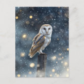 雪の中のフクロウ 冬至 シーズンポストカード (正面)
