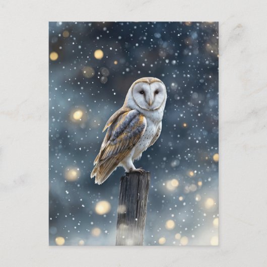 雪の中のフクロウ 冬至 シーズンポストカード (正面)