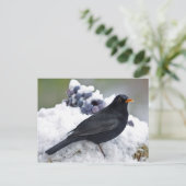 雪の中のブラックバード ポストカード (スタンド正面)