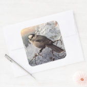 雪の中のブルックス・グレイ・ジェイ スクエアシール (封筒)