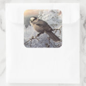 雪の中のブルックス・グレイ・ジェイ スクエアシール (バッグ)