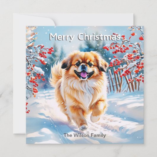雪の中のペキニーズ 冬のメリークリスマス シーズンカード (正面)