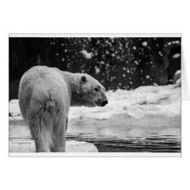 雪の中のホッキョクグマ