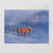 雪の中のホリデーホースかわいらし ポストカード (正面)