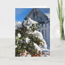 雪の中のホリーベリー – Martha's Vineyard