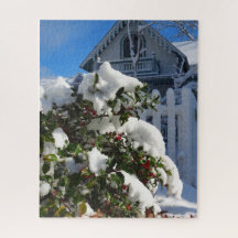 雪の中のホリーベリー – Martha's Vineyard