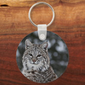 雪の中のボブキャット キーホルダー (正面)