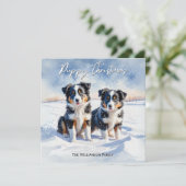 雪の中のボーダー・コリーの仔犬たち クリスマス (スタンド正面)