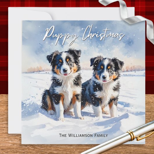 雪の中のボーダー・コリーの仔犬たち クリスマス