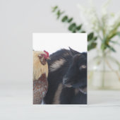 雪の中のヤギと鶏の友人 ポストカード (スタンド正面)