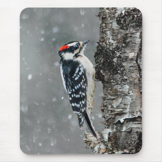 雪の中のユキツキ – オリジナル写真 マウスパッド (正面)