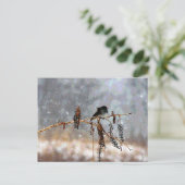 雪の中のユンコ ポストカード (スタンド正面)