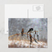 雪の中のユンコ ポストカード (正面/裏面)