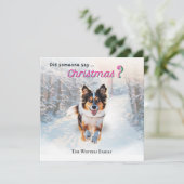 雪の中のユーモアあふれるオーストラリアン・シェパード犬 シーズンカード (スタンド正面)