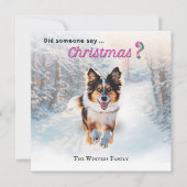 雪の中のユーモアあふれるオーストラリアン・シェパード犬 シーズンカード (正面)