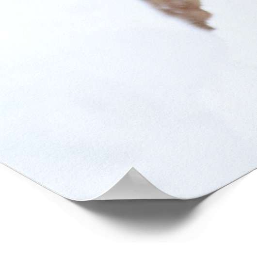 雪の中のライオン ポスター (角)