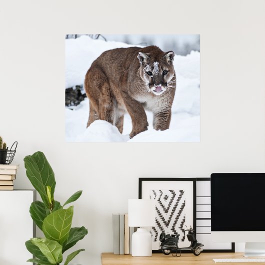 雪の中のライオン ポスター (ホームオフィス)