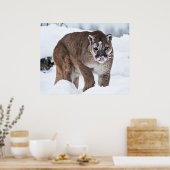 雪の中のライオン ポスター (キッチン)