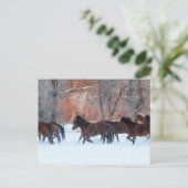 雪の中のランニング馬の群れ ポストカード (スタンド正面)