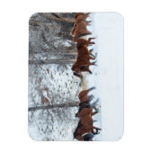 雪の中のランニング馬の群れ マグネット (縦)