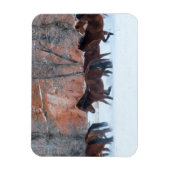 雪の中のランニング馬の群れ マグネット (縦)