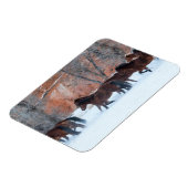 雪の中のランニング馬の群れ マグネット (左側)