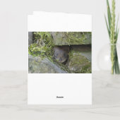 雪の中のリス　クリスマスカード カード (裏面)