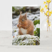 雪の中のリス　クリスマスカード カード (黄色い花)