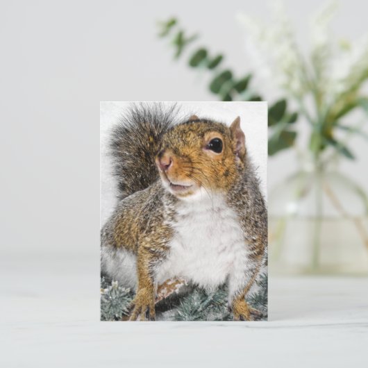 雪の中のリス ポストカード (スタンド正面)