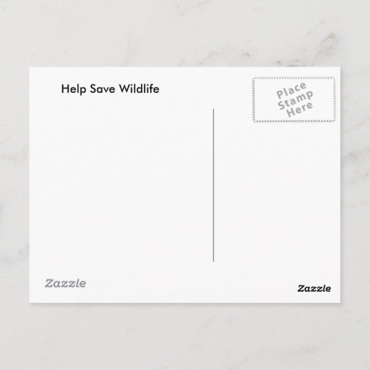 雪の中のリス ポストカード (裏面)