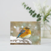 雪の中のルリツグミ - オリジナル写真 ポストカード (スタンド正面)