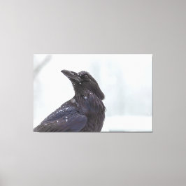 雪の中のレイベン キャンバスプリント