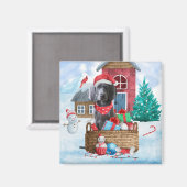 雪の中のワイマラナー犬 クリスマスの犬小屋 マグネット (正面/裏面)