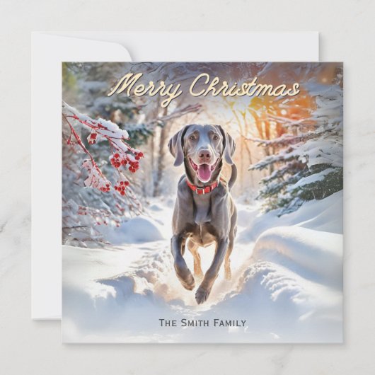 雪の中のヴァイマラナー犬 メリークリスマス シーズンカード (正面)