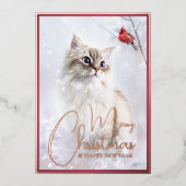 雪の中の冬の物語、子猫と赤（鳥）ショウジョウコウカンチョウの鳥 –  箔シーズンカード (正面)