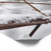 雪の中の冬の鳥 ポスター (角)